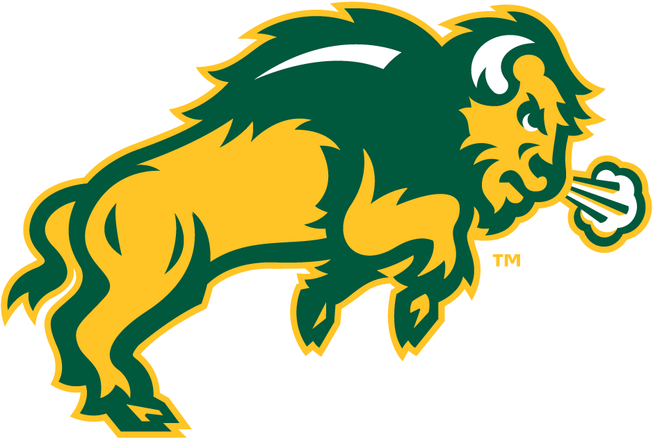 North Dakota State Bison 2012-Pres Secondary Logo diy iron on heat transfer